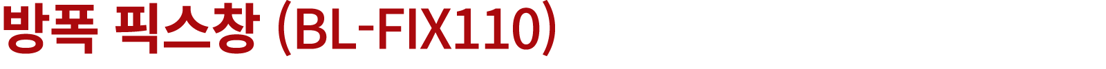 방폭 픽스창 (BL FIX110)